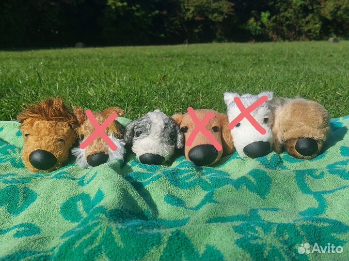 The dog collection