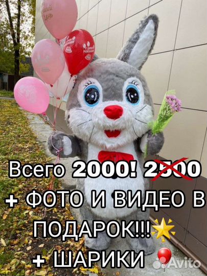 Поздравление от зайки