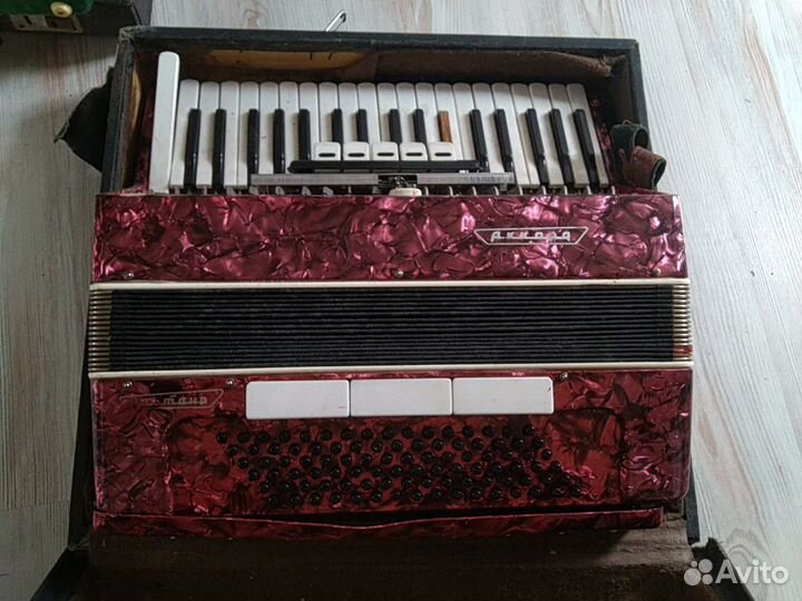 Аккардеон
