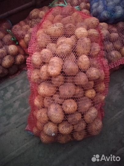 Продам картофель с доставкой