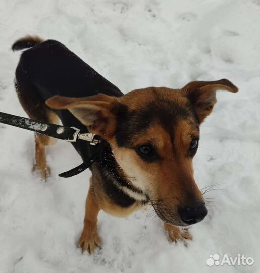 Девочка 11 мес из приюта