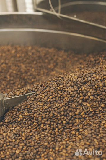 Свежей кофе обжарки опт от 6кг для horeca