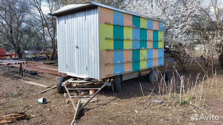 Пчелоповильон