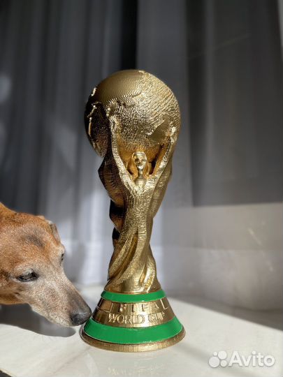 Кубок чемпионата мира по футболу FIFA