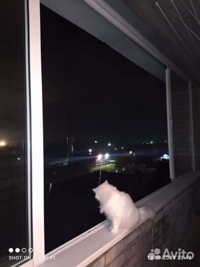 Окна лоджия Торг