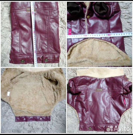 Одежда для собак пакетом