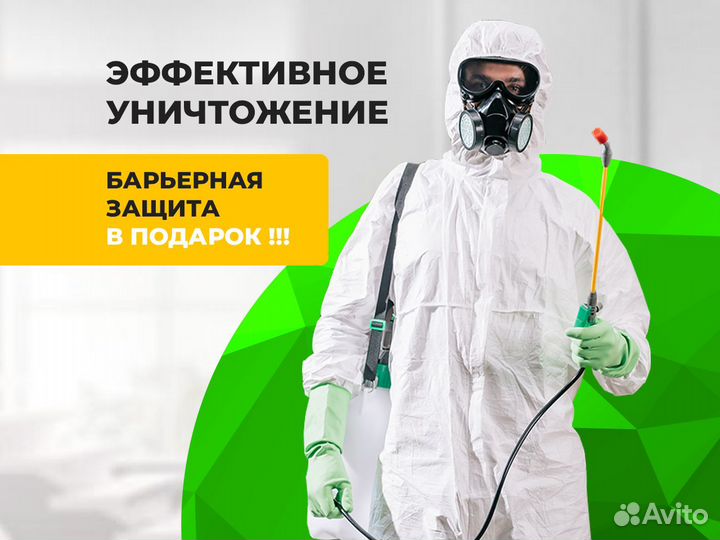 Дезинсекция клещей клопов блох тараканов муравьев