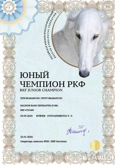 Кабель для вязки пти брабансон