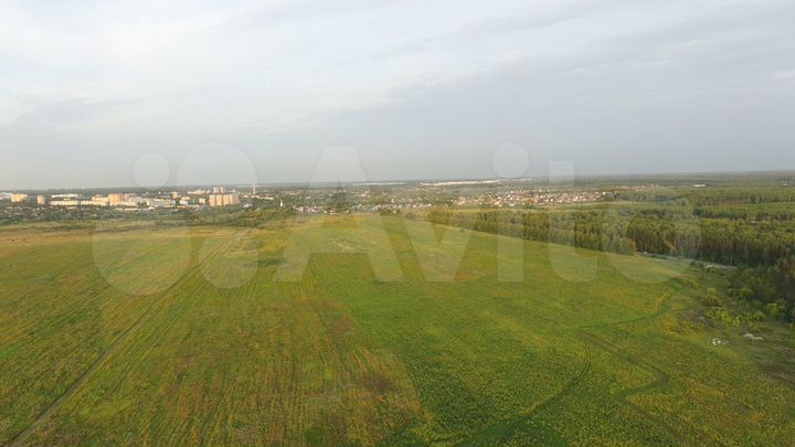 Участок 204,64 га (СНТ, ДНП)