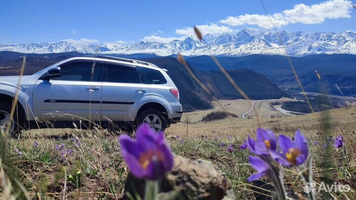 Экскурсии по Алтаю, Чуйский -Марс, Чемал, Телецкое