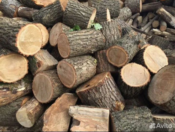 Дрова дубовые