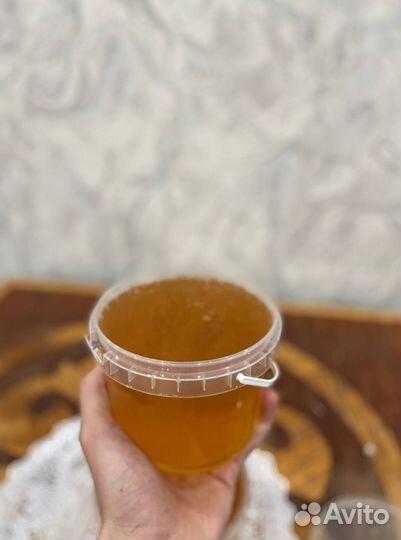 Алтайский мед оптом 2023