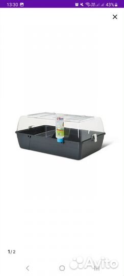 Клетка дюна