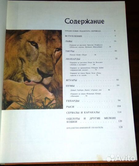 Дикие кошки
