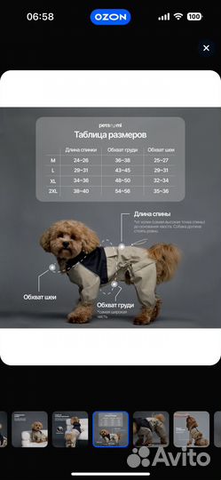 Комбинезон дождевик для собаки