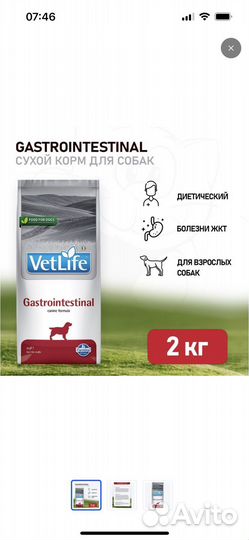 Сухой корм для собак ветлайф