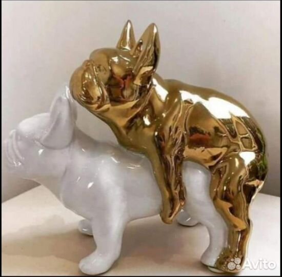 Инструктор по вязке собак