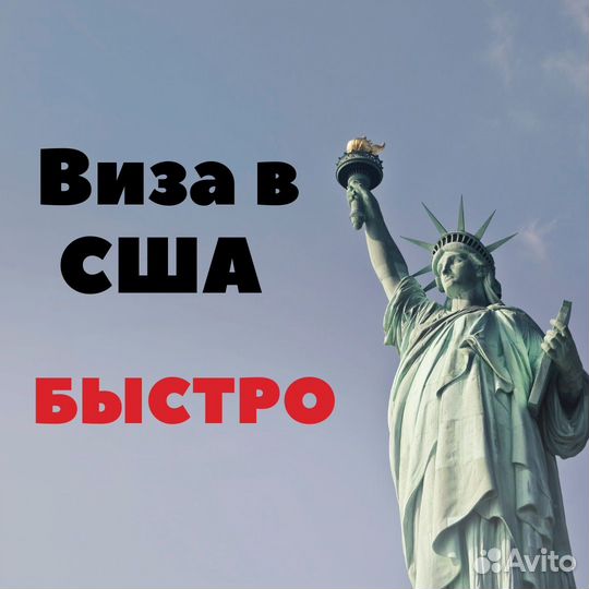 Виза в США (Бот входит в стоимость)