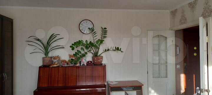 2-к. квартира, 51 м², 4/5 эт.