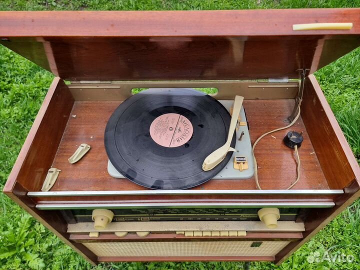 Радиола ригонда