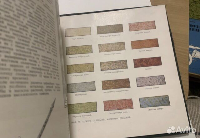 Альбом партерной зелени. Киев 1953