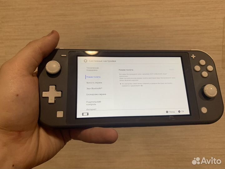 Nintendo switch lite