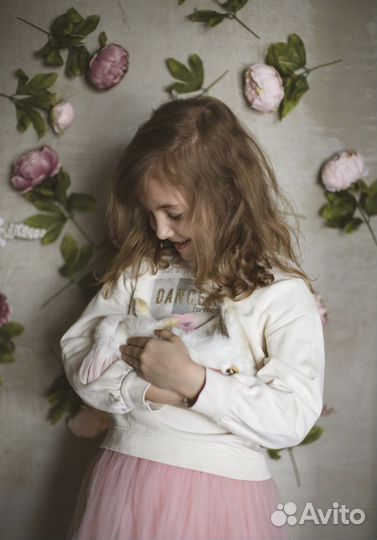 Питомник мини кроликов