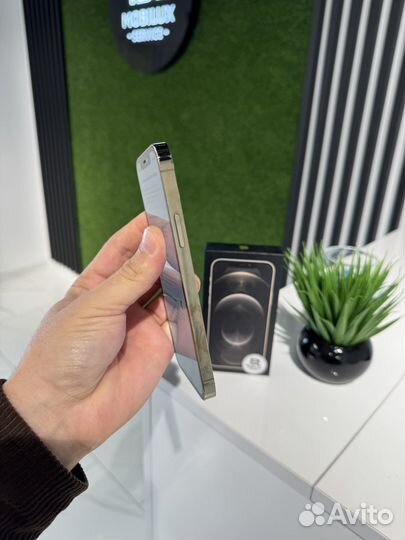 iPhone 12 Pro, 256 ГБ