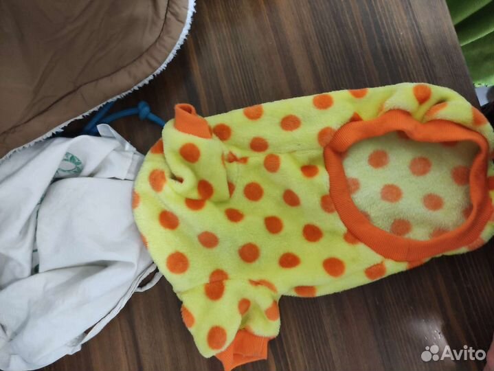 Одежда для маленьких собак