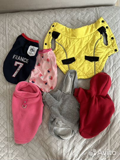 Одежда для собак