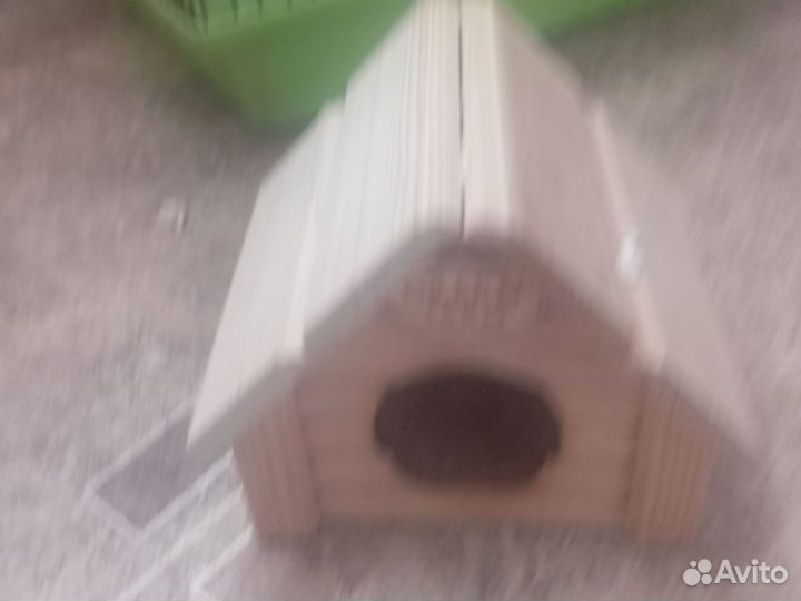 Хомяк с клеткой