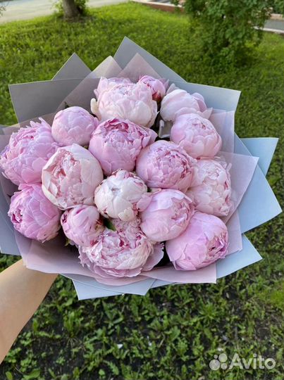 Пионы. Цветы и букеты из пионов