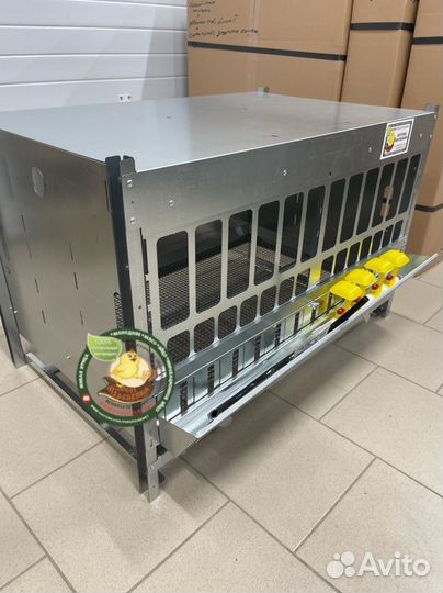 Брудер для цыплят