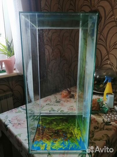 Аквариум