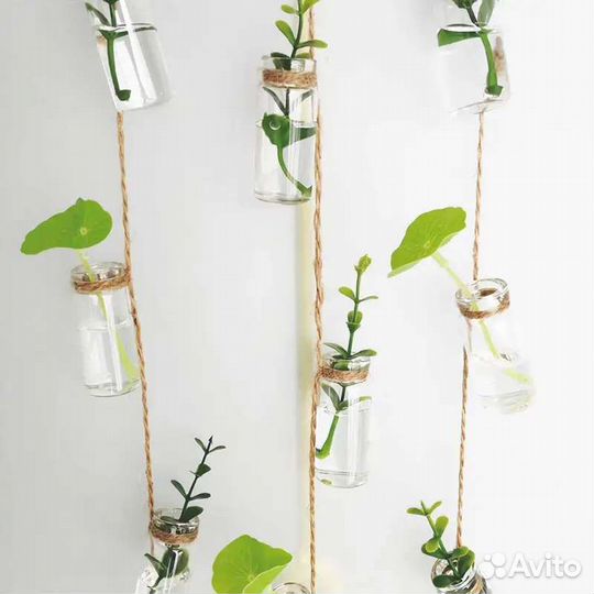 Стеклянные баночки