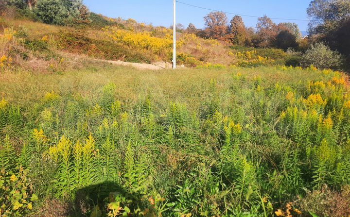 Участок 4 сот. (ИЖС)