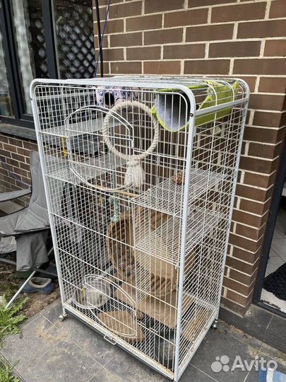 Клетка для белки, белки дегу, бу