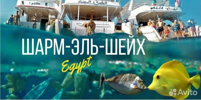 Шарм-эль-шейх Jaz Sharm Dreams Resort 15.05