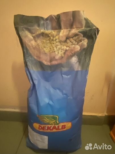 Семена кукурузы дкс