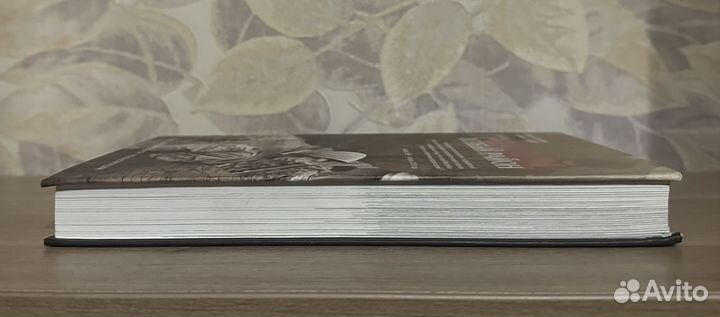 Журавель, Лебедев. Грозный. Особый район