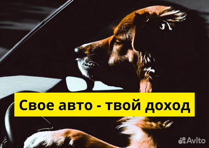 Вакансия в Яндекс.GO