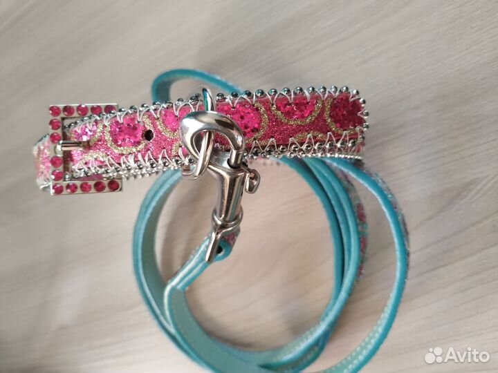 Ошейник и шлейка с поводком