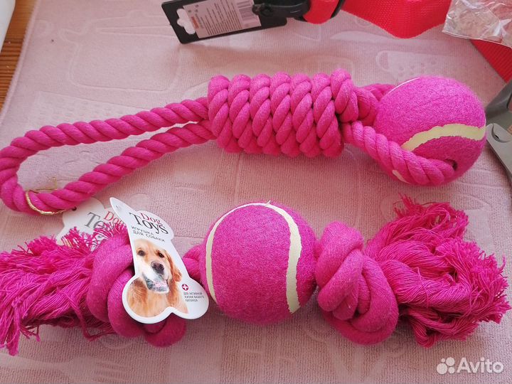 Дождевик, Ошейник и поводок для собак