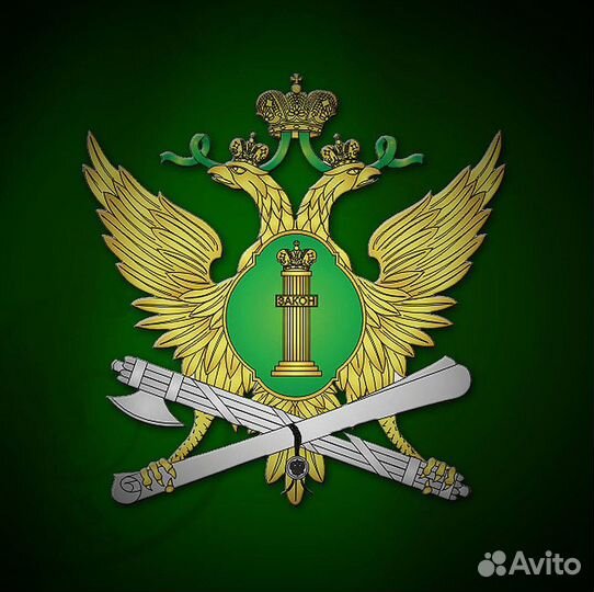 Фссп Юрист Исполнительное производство