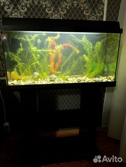 Аквариум с тумбой Juwel