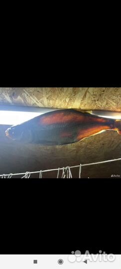 Рыба лещ вяленый