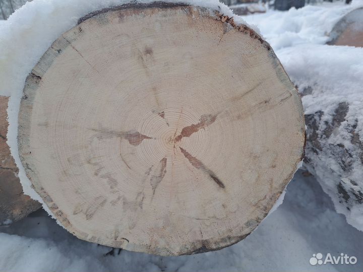 Бревно кругляк
