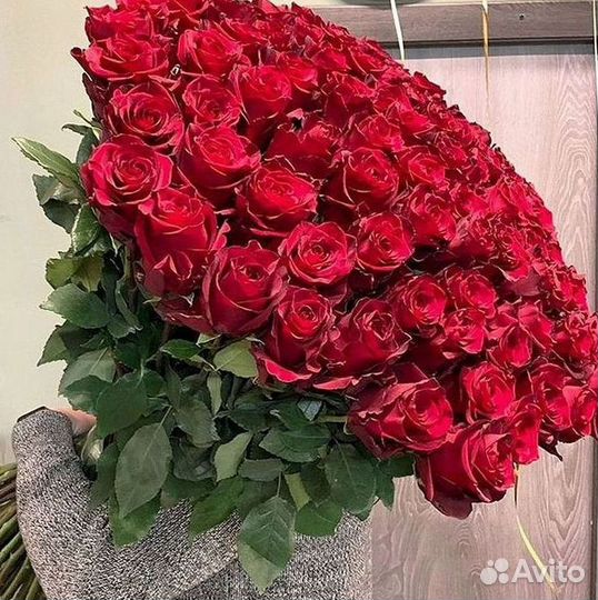 Высокие розы Гигантские розы с доставкой