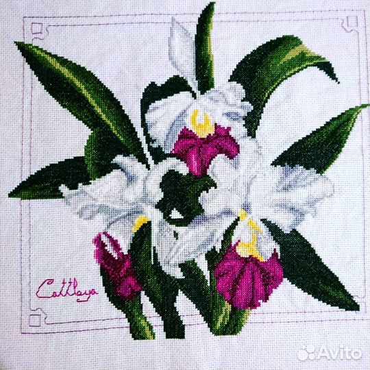 Орхидея Каттлея готовая вышивка