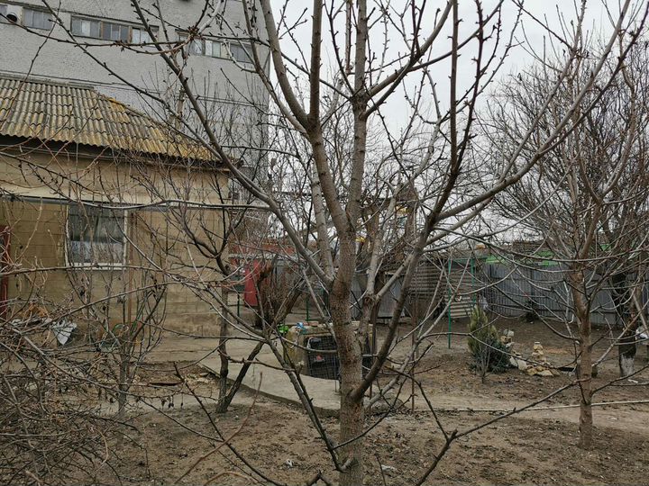 Участок 8 сот. (ИЖС)